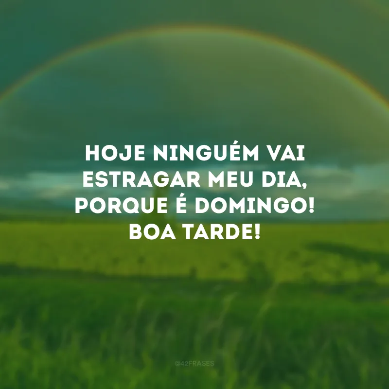 Hoje ninguém vai estragar meu dia, porque é domingo! Boa tarde!