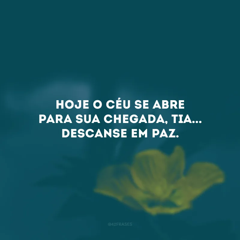 Hoje o céu se abre para sua chegada, tia... Descanse em paz.