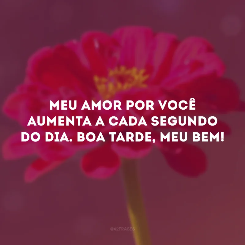 Meu amor por você aumenta a cada segundo do dia. Boa tarde, meu bem!