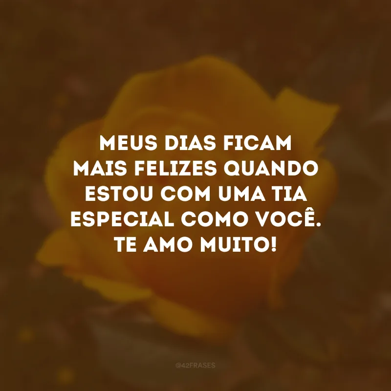 Meus dias ficam mais felizes quando estou com uma tia especial como você. Te amo muito! 