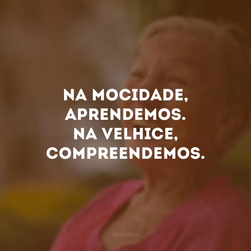 Na mocidade, aprendemos. Na velhice, compreendemos.