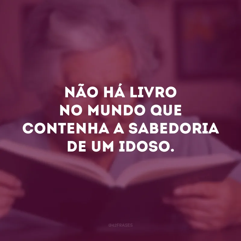Não há livro no mundo que contenha a sabedoria de um idoso.