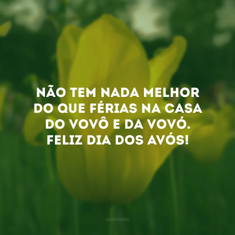 Não tem nada melhor do que férias na casa do vovô e da vovó. Feliz Dia dos Avós! 