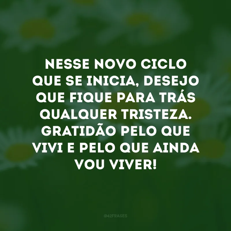 Nesse novo ciclo que se inicia, desejo que fique para trás qualquer tristeza. Gratidão pelo que vivi e pelo que ainda vou viver!