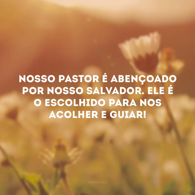 Nosso pastor é abençoado por nosso Salvador. Ele é o escolhido para nos acolher e guiar!