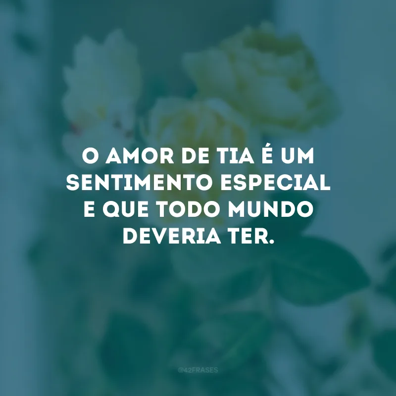 O amor de tia é um sentimento especial e que todo mundo deveria ter.