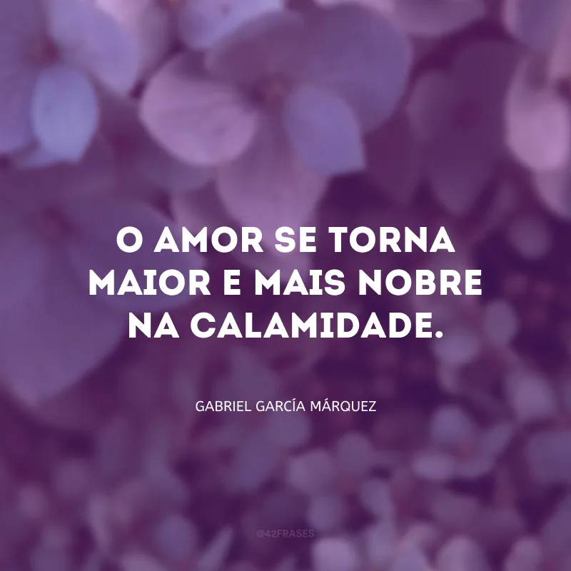 O amor se torna maior e mais nobre na calamidade.
