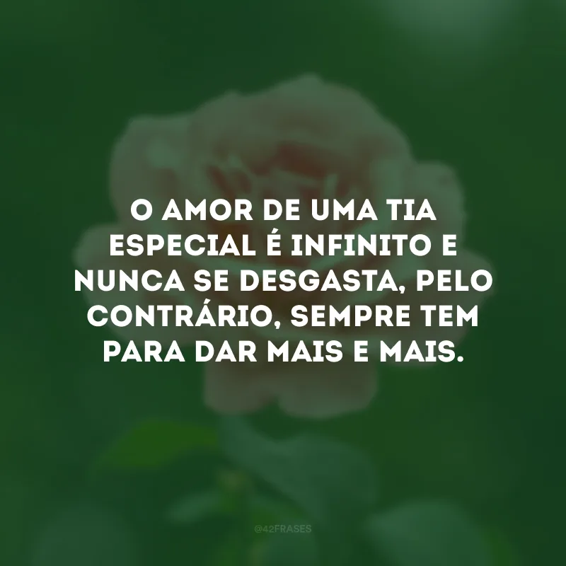 O amor de uma tia especial é infinito e nunca se desgasta, pelo contrário, sempre tem para dar mais e mais.