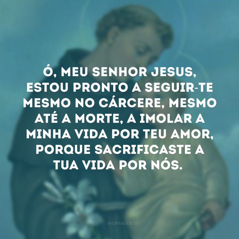 Ó, meu Senhor Jesus, estou pronto a seguir-te mesmo no cárcere, mesmo até a morte, a imolar a minha vida por teu amor, porque sacrificaste a tua vida por nós.