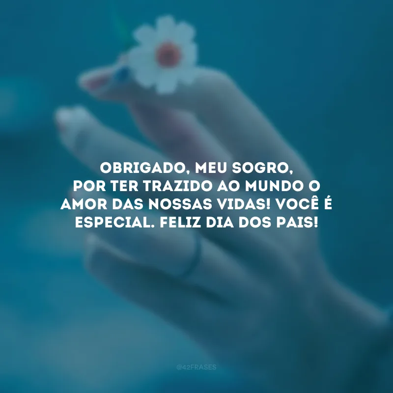 Obrigado, meu sogro, por ter trazido ao mundo o amor das nossas vidas! Você é especial. Feliz Dia dos Pais!