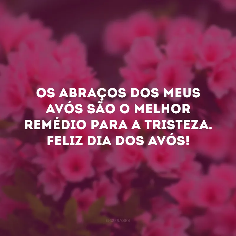Os abraços dos meus avós são o melhor remédio para a tristeza. Feliz Dia dos Avós!