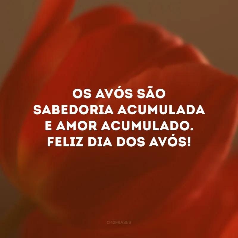 Os avós são sabedoria acumulada e amor acumulado. Feliz Dia dos Avós!