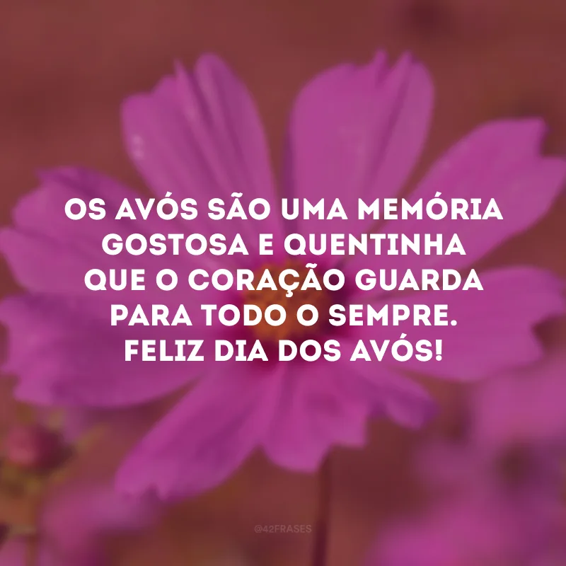 Os avós são uma memória gostosa e quentinha que o coração guarda para todo o sempre. Feliz Dia dos Avós! 