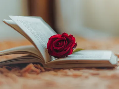 50 frases de poemas de amor para surpreender a sua alma gêmea