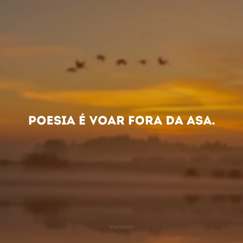 Poesia é voar fora da asa.