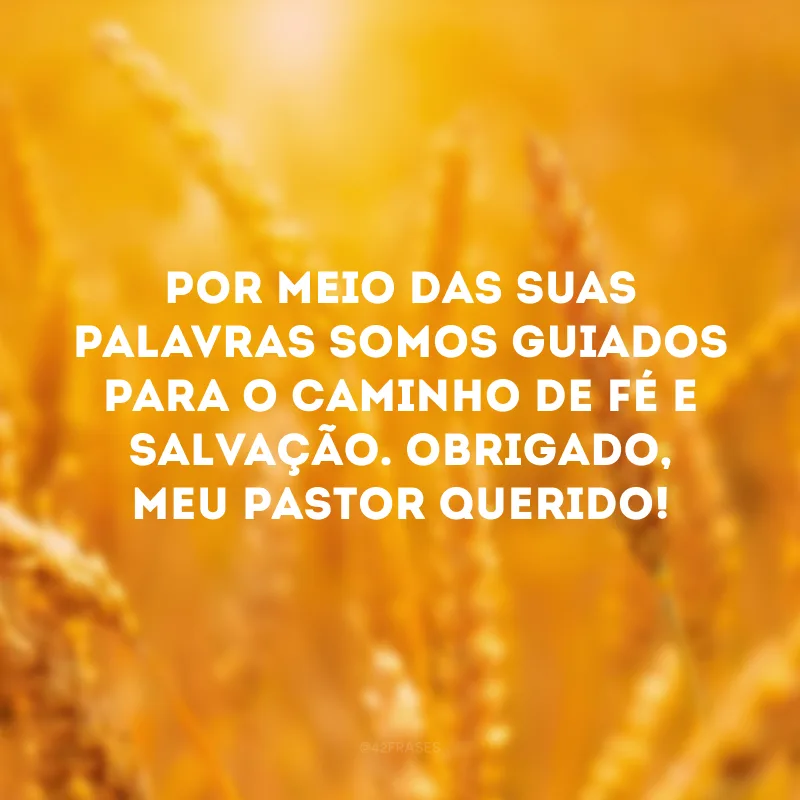 Por meio das suas palavras somos guiados para o caminho de fé e salvação. Obrigado, meu pastor querido!