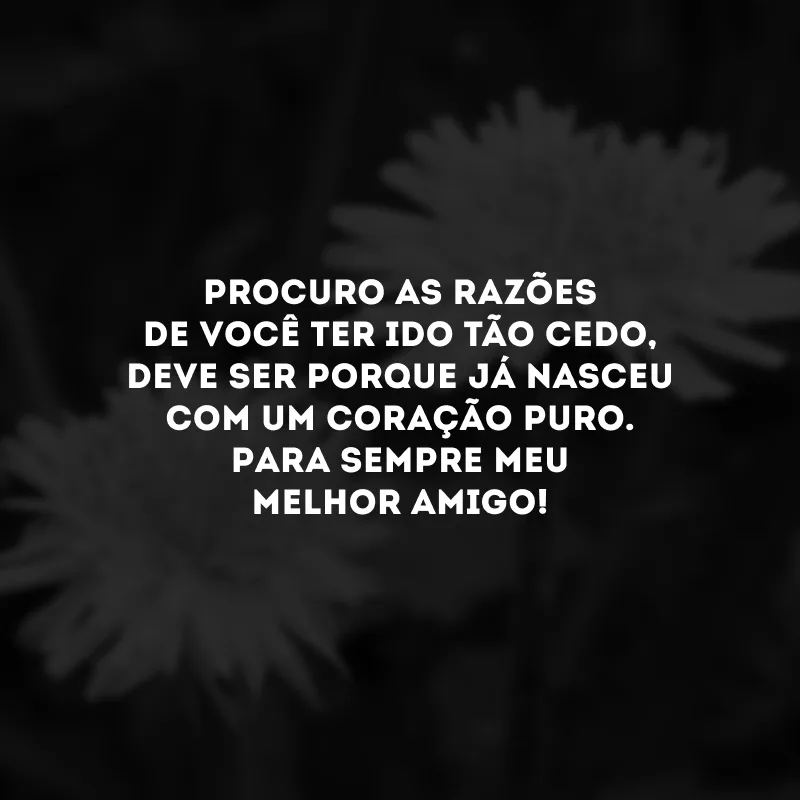 Procuro as razões de você ter ido tão cedo, deve ser porque já nasceu com um coração puro. Para sempre meu melhor amigo!