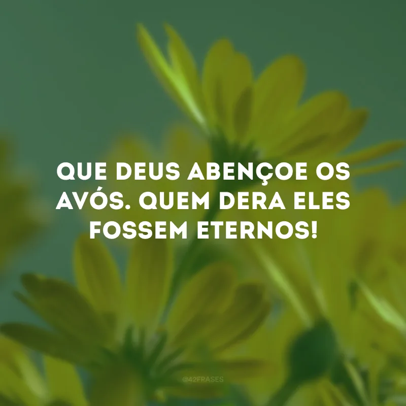 Que Deus abençoe os avós. Quem dera eles fossem eternos! 