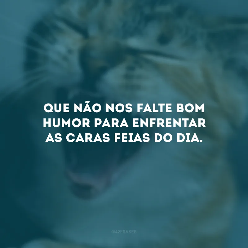 Que não nos falte bom humor para enfrentar as caras feias do dia. 