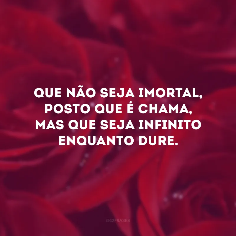 Eu possa me dizer do amor (que tive):
Que não seja imortal, posto que é chama
Mas que seja infinito enquanto dure.