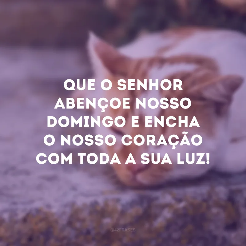 Que o Senhor abençoe nosso domingo e encha o nosso coração com toda a Sua luz!