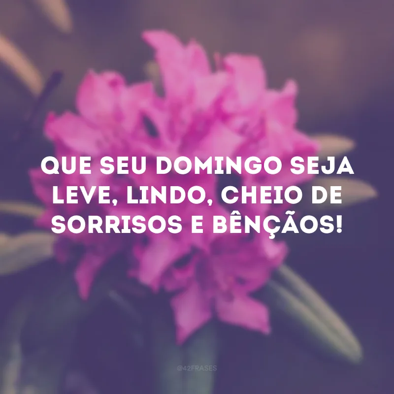 Que seu domingo seja leve, lindo, cheios de sorrisos e bênçãos! 