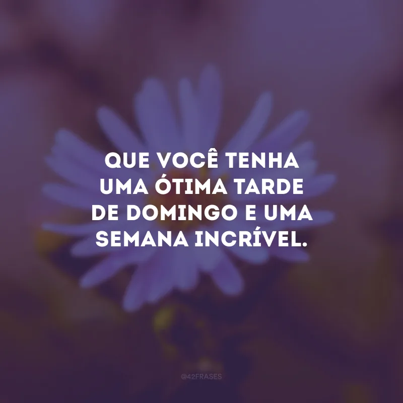Que você tenha uma ótima tarde de domingo e uma semana incrível.