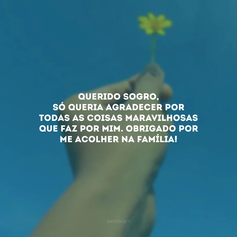 Querido sogro, só queria agradecer por todas as coisas maravilhosas que faz por mim. Obrigado por me acolher na família!