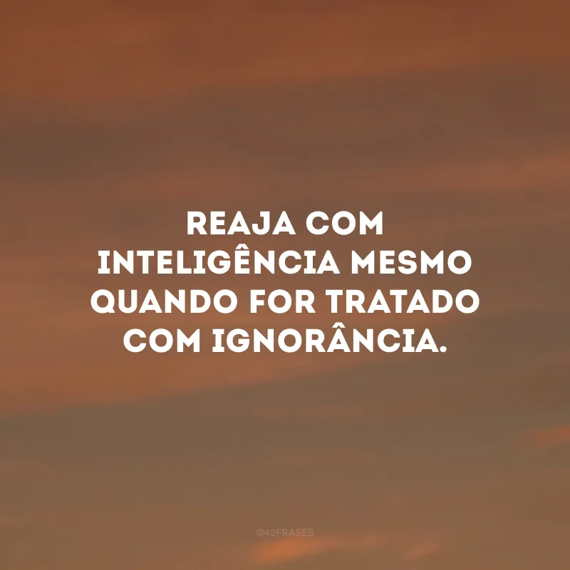 Reaja com inteligência mesmo quando for tratado com ignorância.