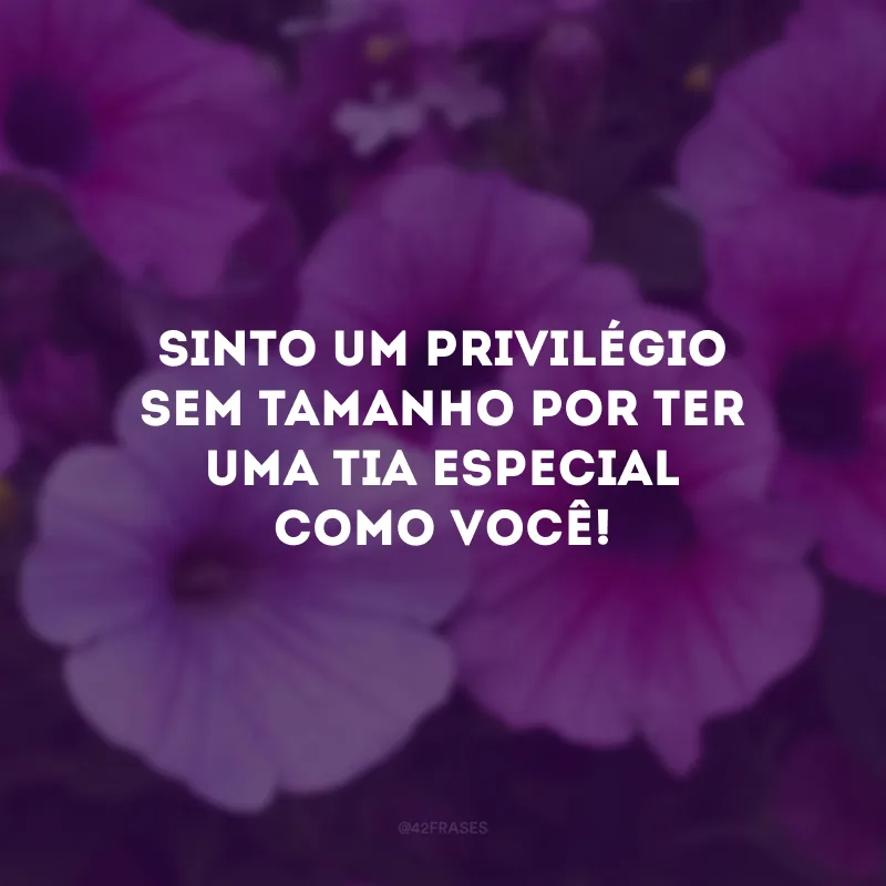 Sinto um privilégio sem tamanho por ter uma tia especial como você!