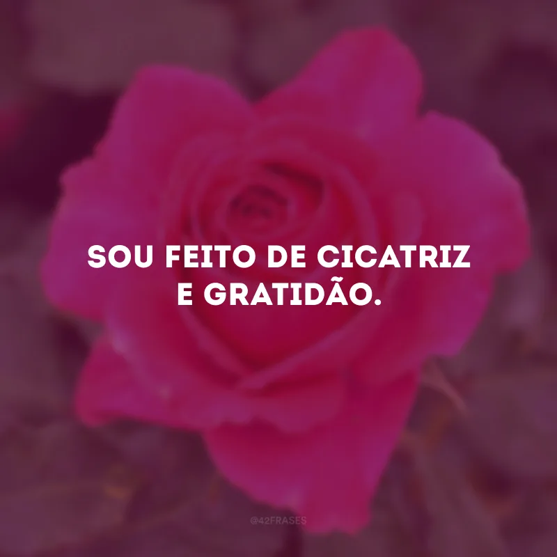 Sou feito de cicatriz e gratidão. 