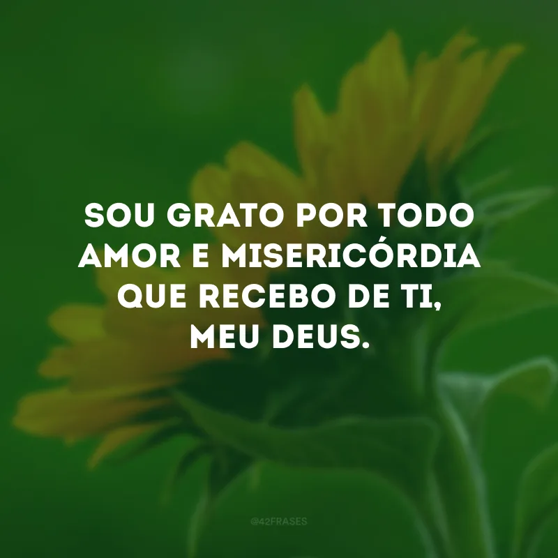 Seja grato todos os dias, pois você é fruto de suas próprias conquistas.
