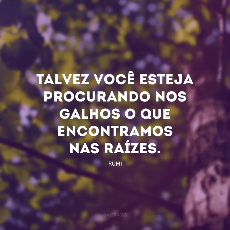 Talvez você esteja procurando nos galhos o que encontramos nas raízes. 