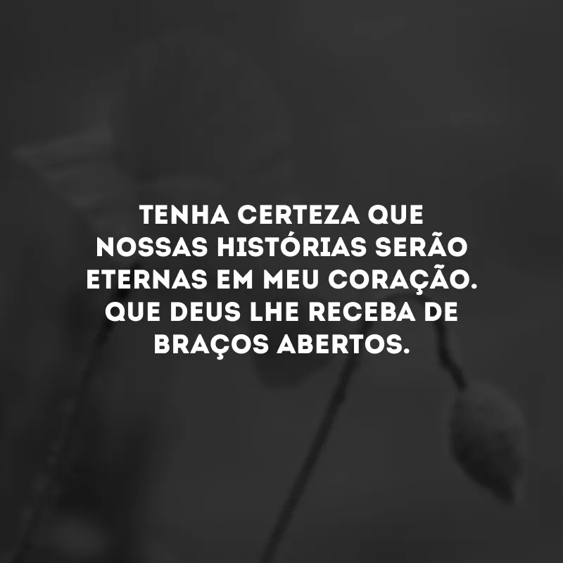 Tenha certeza que nossas histórias serão eternas em meu coração. Que Deus lhe receba de braços abertos.