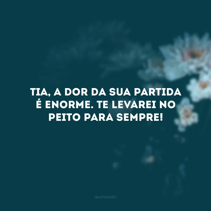 Tia, a dor da sua partida é enorme. Te levarei no peito para sempre! 