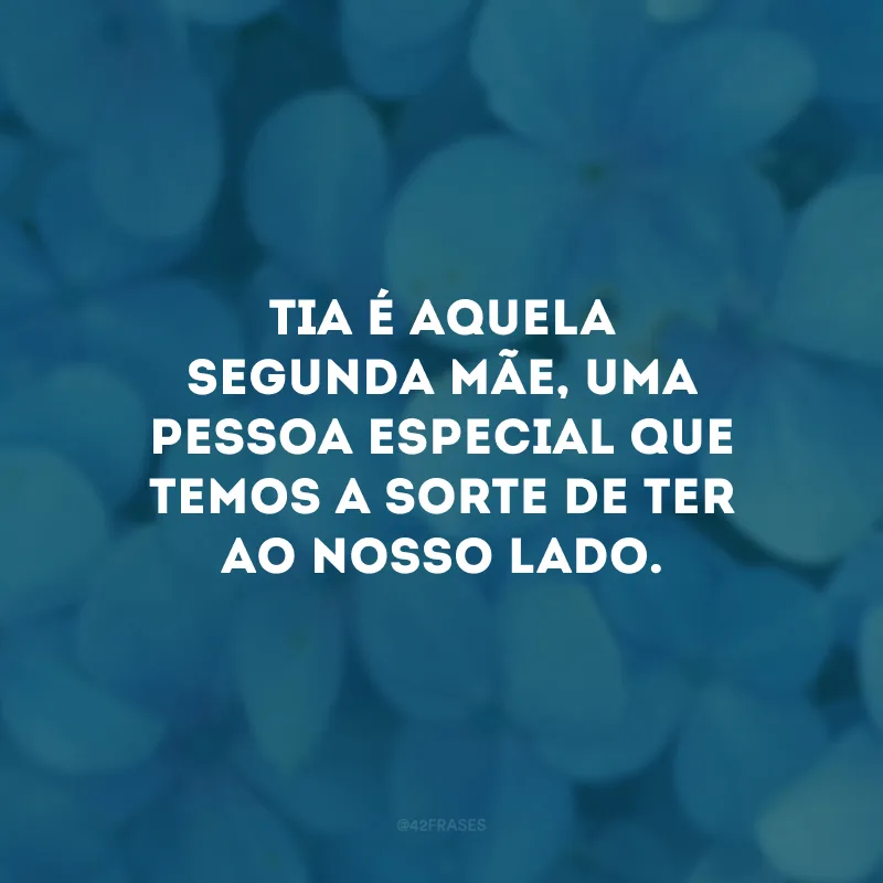 Tia é aquela segunda mãe, uma pessoa especial que temos a sorte de ter ao nosso lado.