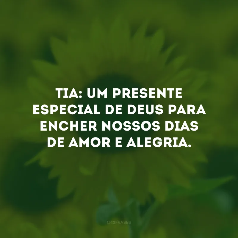 Tia: um presente especial de Deus para encher nossos dias de amor e alegria.