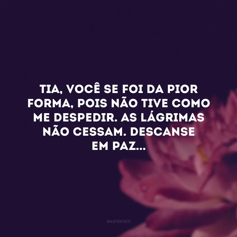 Tia, você se foi da pior forma, pois não tive como me despedir. As lágrimas não cessam. Descanse em paz... 