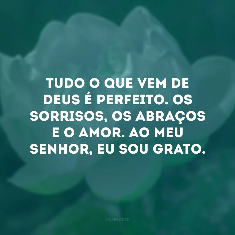 Tudo o que vem de Deus é perfeito. Os sorrisos, os abraços e o amor. Ao meu Senhor, eu sou grato.