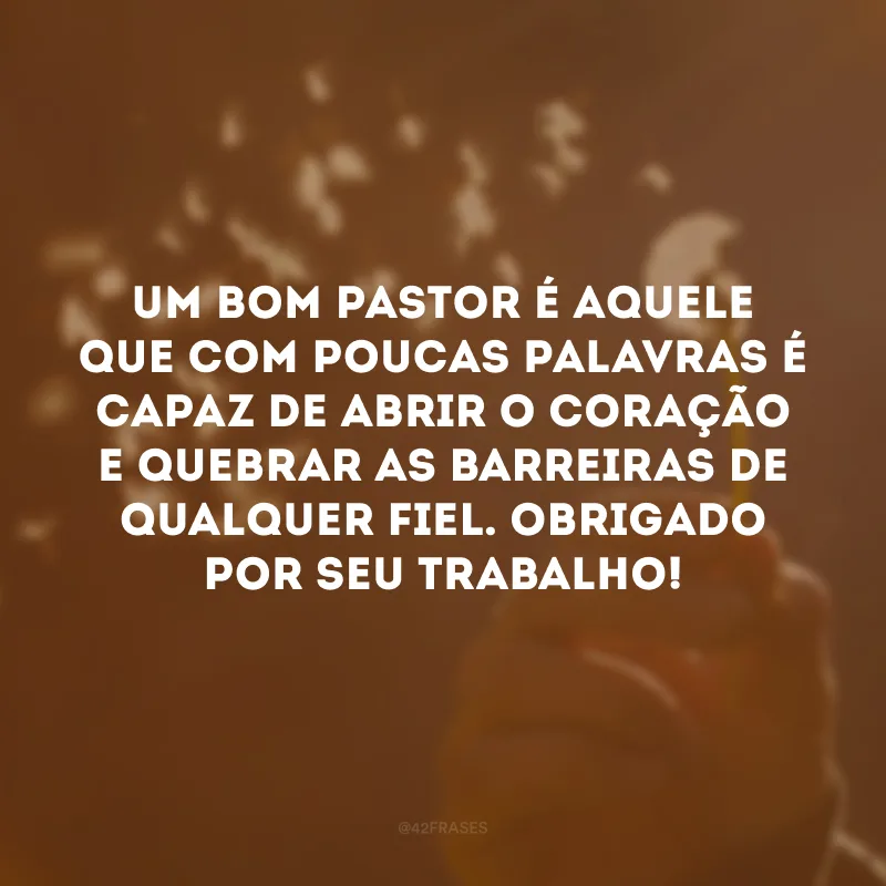 Um bom pastor é aquele que com poucas palavras é capaz de abrir o coração e quebrar as barreiras de qualquer fiel. Obrigado por seu trabalho!