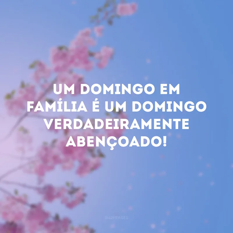 Um domingo em família é um domingo verdadeiramente abençoado! 
