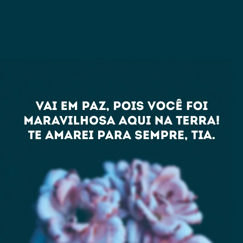 Vai em paz, pois você foi maravilhosa aqui na Terra! Te amarei para sempre, tia. 