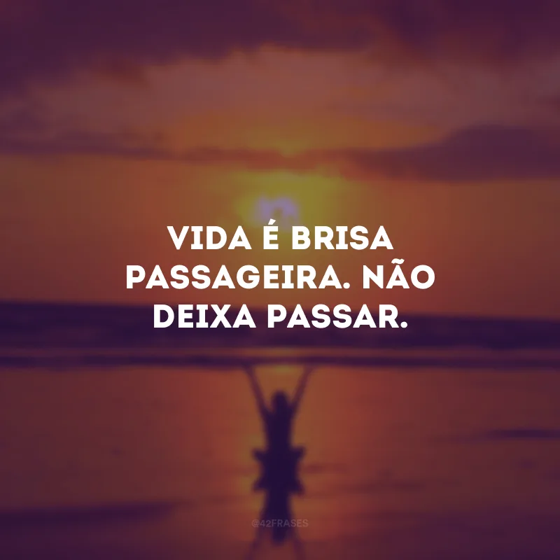 Vida é brisa passageira. Não deixa passar.