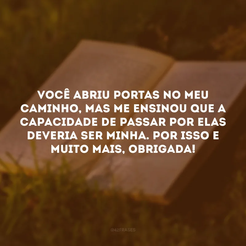 Você abriu portas no meu caminho, mas me ensinou que a capacidade de passar por elas deveria ser minha. Por isso e muito mais, obrigada!