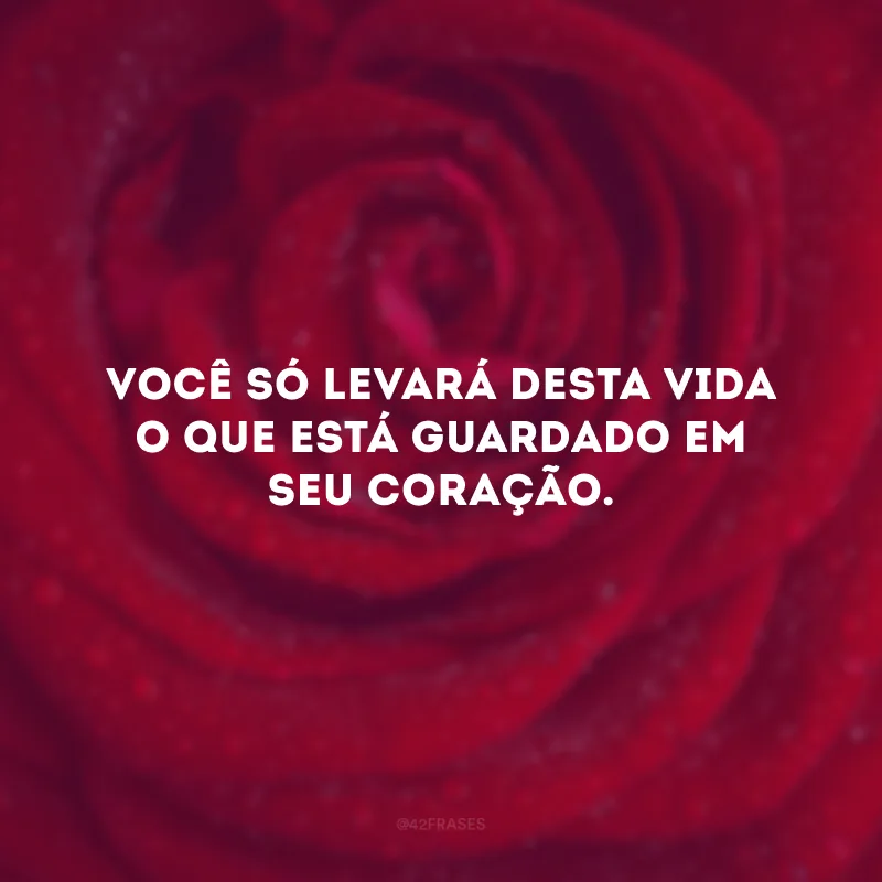 Você só levará desta vida o que está guardado em seu coração. 