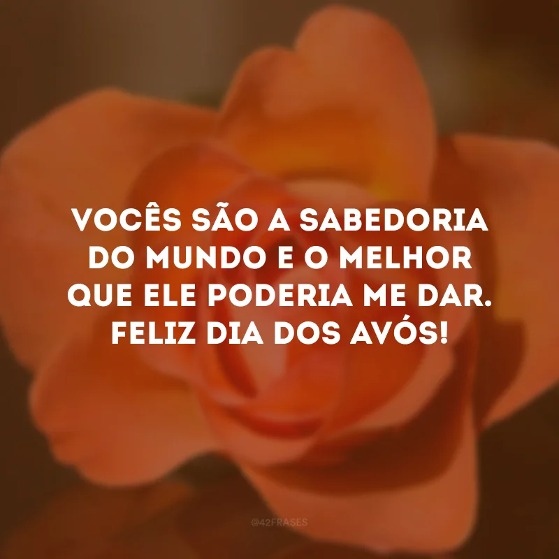 Vocês são a sabedoria do mundo e o melhor que ele poderia me dar. Feliz Dia dos Avós!