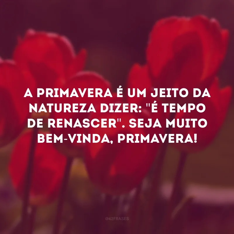 A primavera é um jeito da natureza dizer: \"É tempo de renascer\". Seja muito bem-vinda, primavera!