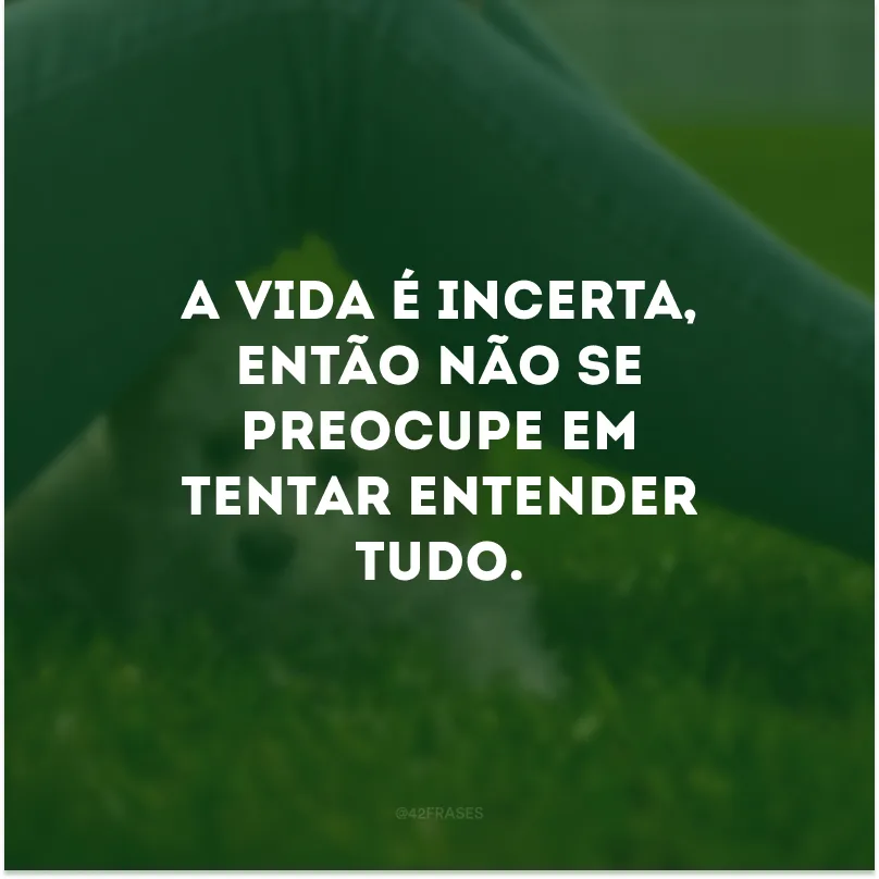 A vida é incerta, então não se preocupe em tentar entender tudo. 