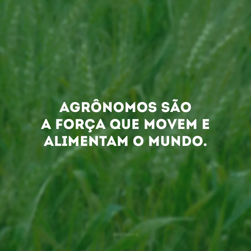 Agrônomos são a força que movem e alimentam o mundo. 