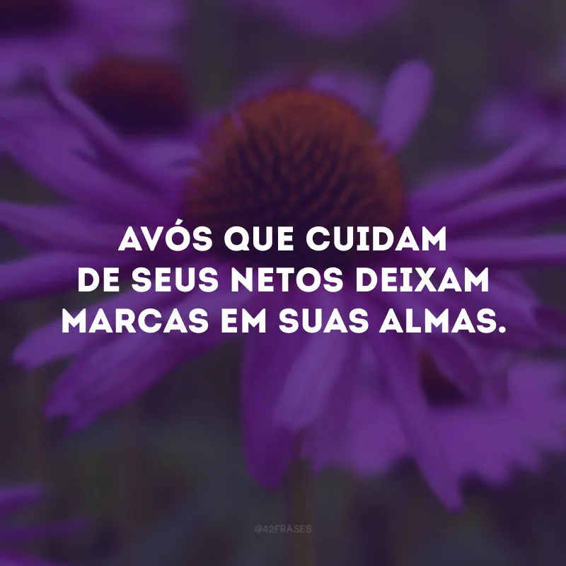 Avós que cuidam de seus netos deixam marcas em suas almas.